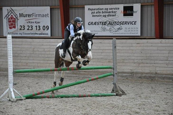 Anden særlig race Jolly Jumper *Gl. Part* billede 7