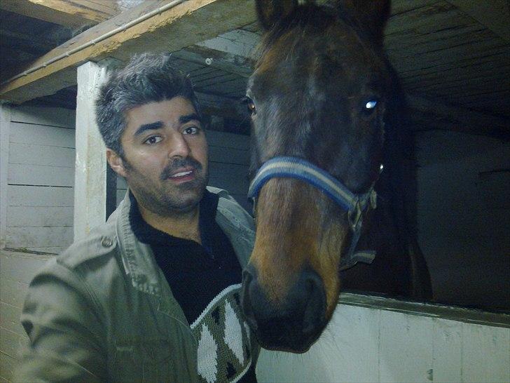 Fuldblod (XX) ZadEyz/Kashmir - Kashmir og Ethem :-)  billede 6