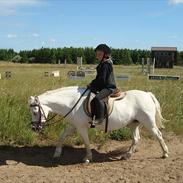 DSP Nørretelling`s Stara