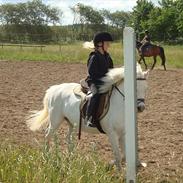 DSP Nørretelling`s Stara