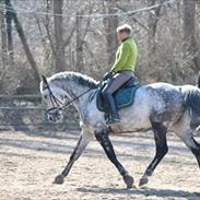 Holstener Mailunds Cirkeline