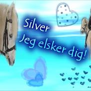 Anden særlig race Silver <3