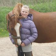 Anden særlig race Drummer (R.I.P.)