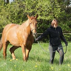 Anden særlig race Che'nelli