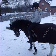 Anden særlig race Brahsal´s Power *rider*