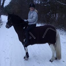 Anden særlig race Brahsal´s Power *rider*