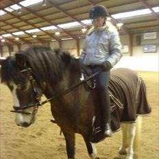 Anden særlig race Brahsal´s Power *rider*