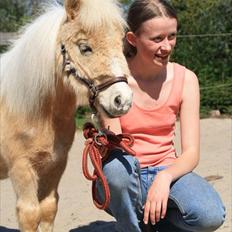 Falabella Calliston's Cody