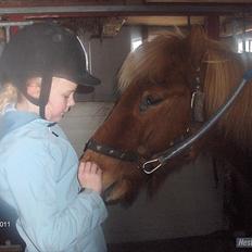 Islænder Eldur - ¤ delle ¤