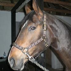 Oldenborg Naomi Nørgaard