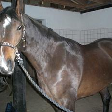 Oldenborg Naomi Nørgaard