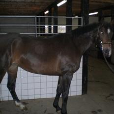 Oldenborg Naomi Nørgaard