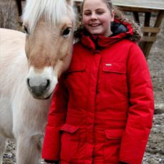 Fjordhest bjarke<3 [ mit liv:* ] 