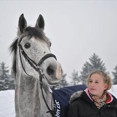 Sportsaraber (A)  Riisgaards Sassi