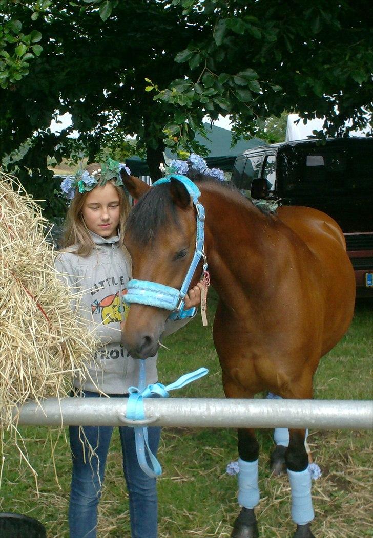 DSP Kjærholms Bounty - Til børnedyrskue i Hobro 2010 billede 13