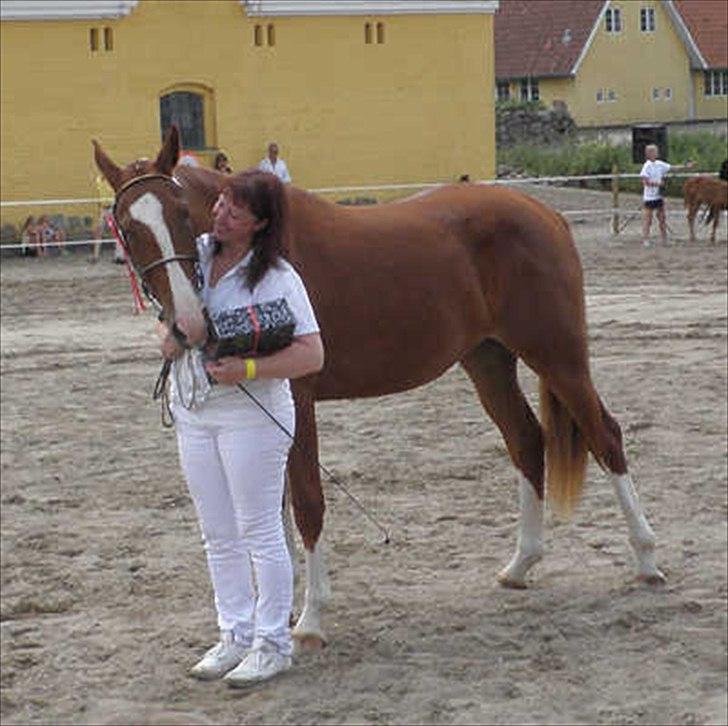 Frederiksborg Vivaldi´s Meg Ryan - Vivaldi´s Meg Ryan og Betina til præmieoverrækkelse på Brahetrolleborg 2010. Ærespræmie og vinder af mynstringskonkurrencen. billede 17