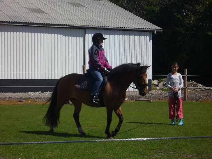 Anden særlig race Flicka - Mig og Flicka, Tania der holder mig i longe :D En af de første gange jeg rider hende (: Foto; Mor billede 17