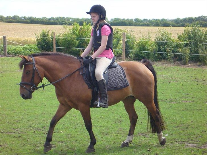 Anden særlig race Flicka - Mig på Flicka om sommeren 2010 ;D  Foto; Mor billede 14