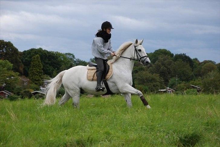 Connemara Zero To Hero billede 18