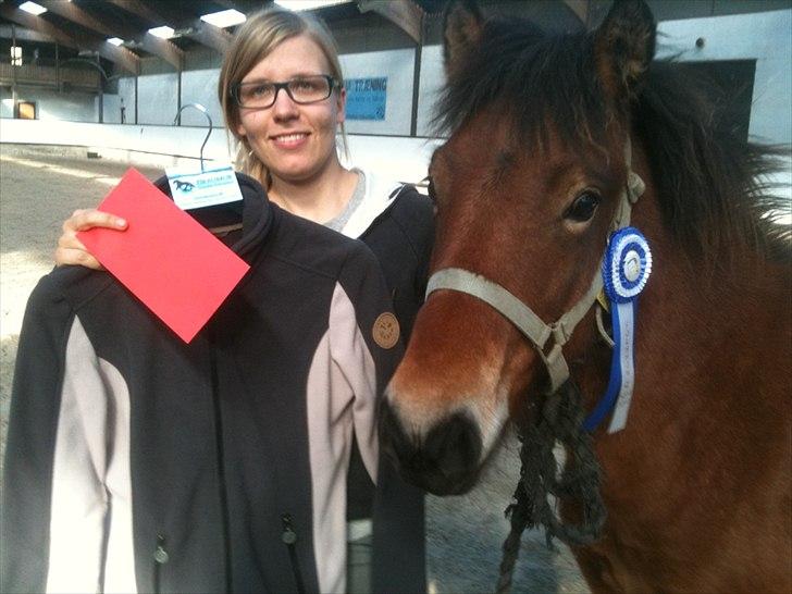 Islænder Náttfari fra Ll. Hafmey billede 9