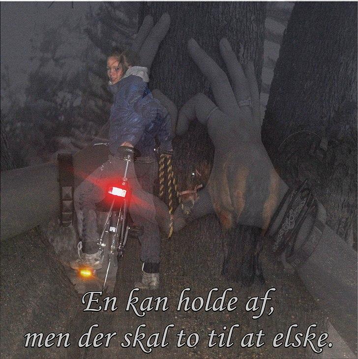 Anden særlig race 'Sally' billede 11