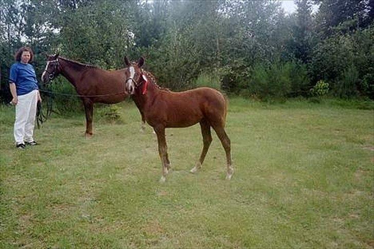 DSP Friis Attila - Attilas mor og lillesøster billede 10