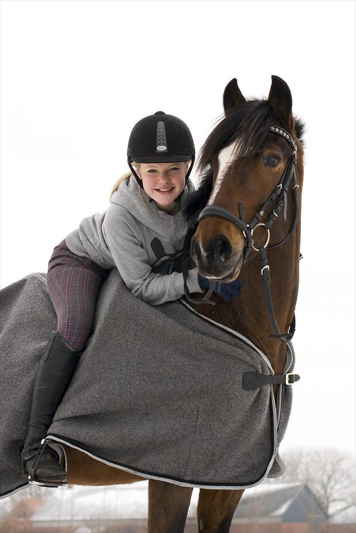 New Forest Mastwood Honeymoon - Den 17/2 2011 FML- foto. Sne billede, Master og mig :') billede 4