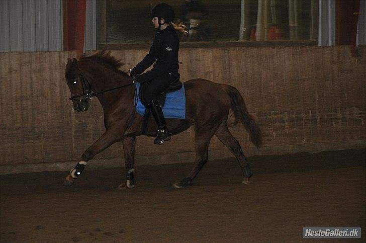 DSP Attila , tidligere passer billede 3