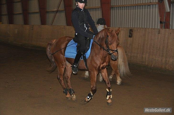 DSP Attila , tidligere passer billede 16