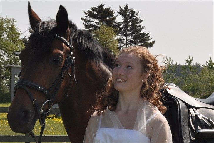 Tysk Sportspony Sultan - Bassen til min konfirmation!:*
-Foto: Pernille Thomsen:-). billede 11