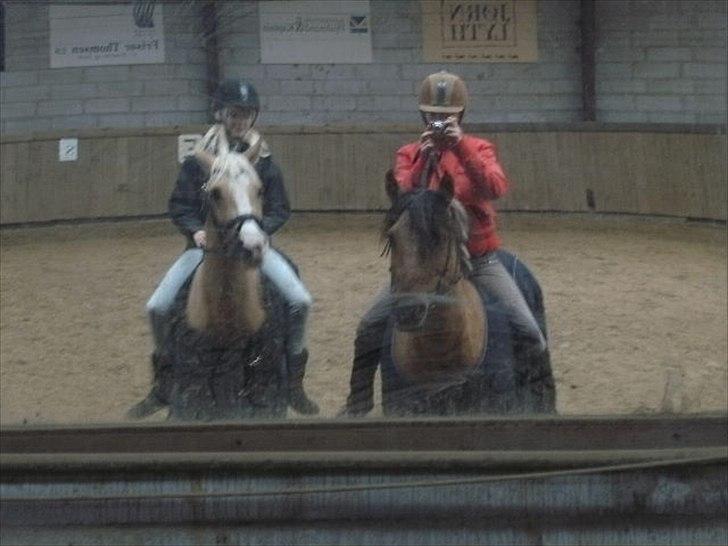 New Forest Beauty R.I.P /red.  - Pernille og Beauty - Mette (mig) & Sunshine billede 4