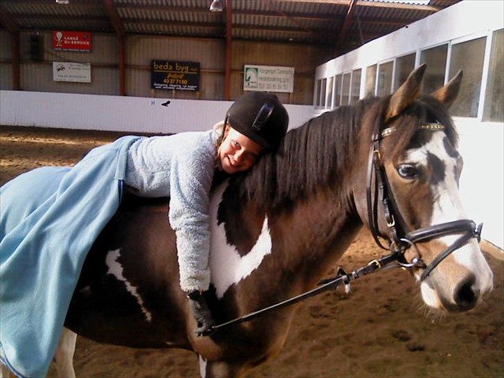 Anden særlig race Brahsal´s Power *rider* - man kan bare alt på ham billede 10