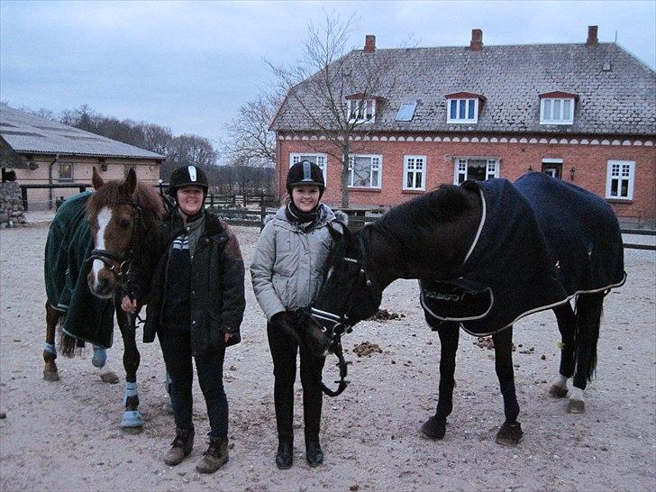 Dansk Varmblod Gørklintgårds Futurist R.I.P - Til venstre - Min pony, som også er herinde, og min mor. Og mig og Futte(: billede 7