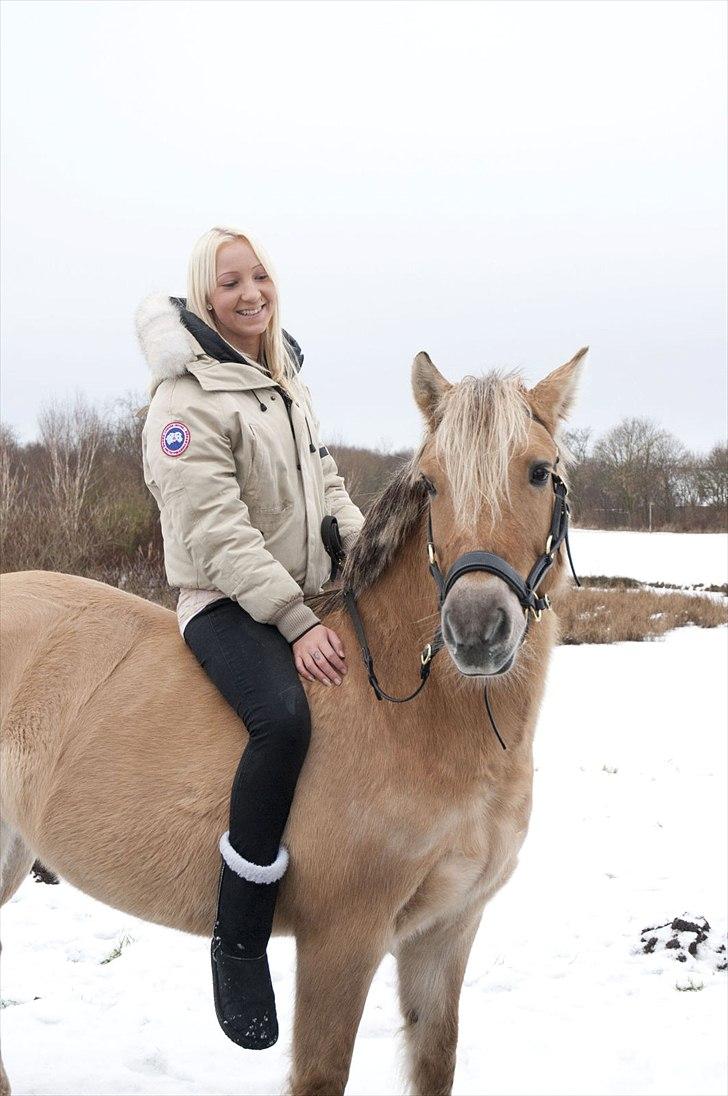 Anden særlig race Daisy. - fjolle <3 billede 12