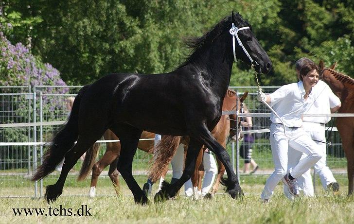 Frieser Coco billede 19