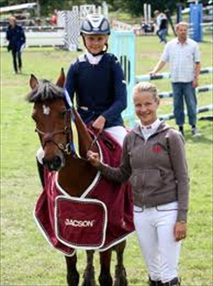 Irsk Sportspony Master Mind   A-pony  - Emma Swerre tidligere ejer.. billede 2