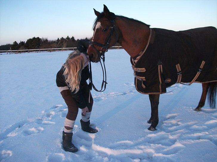 Anden særlig race Nikoline *SOLGT* billede 12