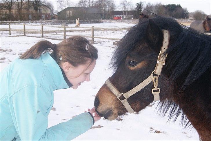Dartmoor Innis Natron billede 4