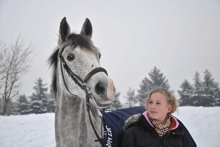 Sportsaraber (A)  Riisgaards Sassi - sassi og mid en vinter dag :D<3 billede 2