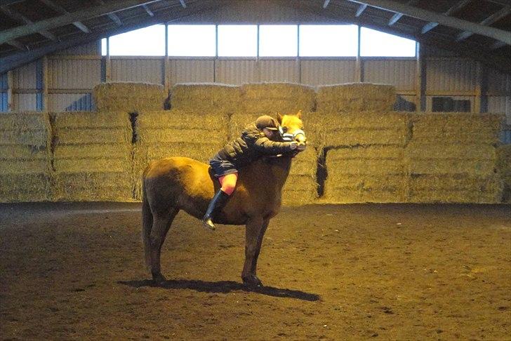 Anden særlig race Zephyr  - Vinter 2011. billede 3