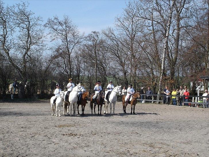 Anden særlig race Dina billede 7