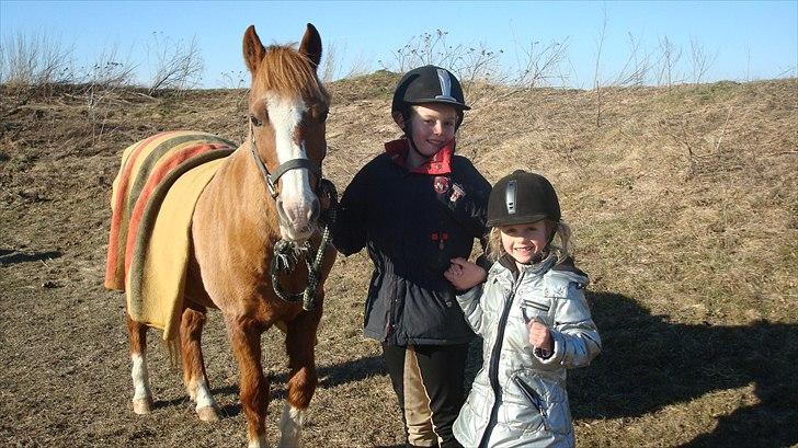 New Forest Thor - Vi elsker Thor-bassen:-) billede 2