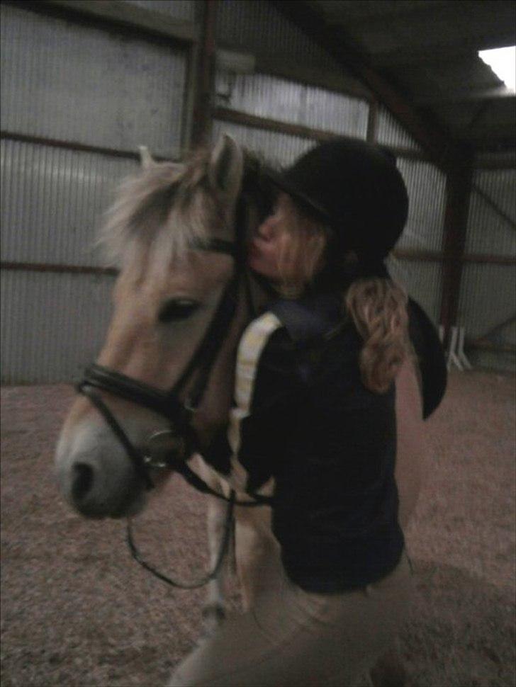 Fjordhest Spyro [tidl. Part] - Maiken og spyro. (må godt bruge billedet)  billede 7