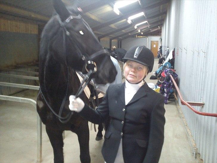 Traver BG Hannah (Tidl. part) - første dressur stævne i NLR billede 14