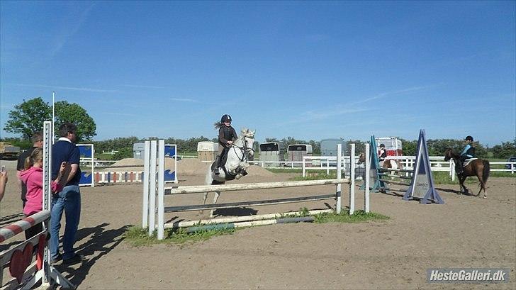 Welsh Pony (sec B) Stendyssen´s sunglimps <3 - mig og glimmer springer mB i bane 2010 billede 9