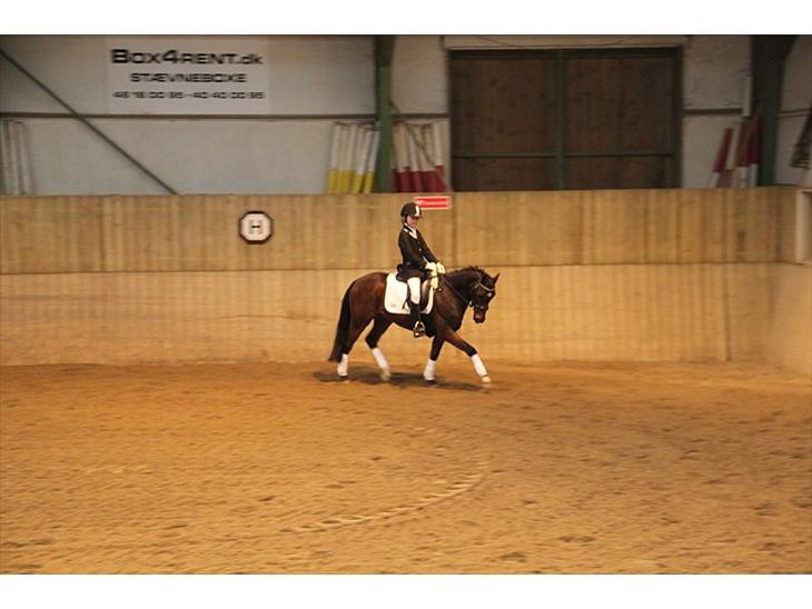 {{currentPhoto.altText}} billede {{currentPhoto.number}}