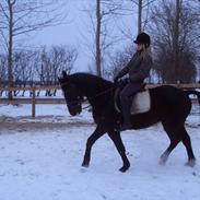 Traver Donavan ( min part)