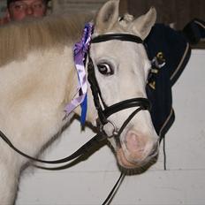 Anden særlig race Freja(SMUKKE)