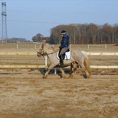 Anden særlig race cæcar