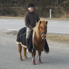 Anden særlig race Oscar SOLGT!